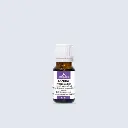 SANDAL ZAPADNOINDIJSKI, eterično ulje, 10 ml