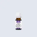 LAVANDA, biološki uzgoj, eterično ulje, 10 ml