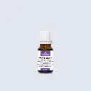 JASMIN, apsolut, eterično ulje, 10 ml