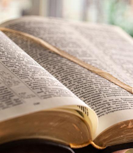 [508-082-0005] BIBLE OILS