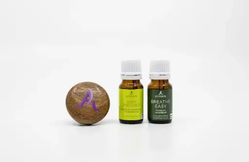 [701-042-0003] AROMA MUSHROOM set